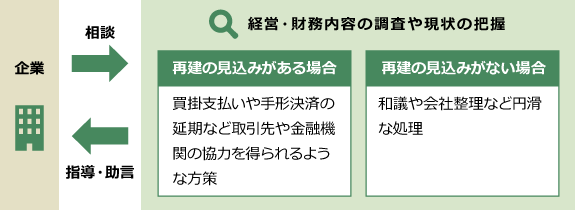 専門家による指導の流れ